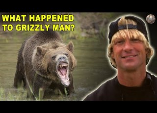  Everything That Had To Go Wrong For Grizzly Man To Meet His Demise