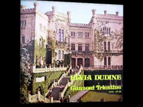 Elvia Dudine Coss Te Bazili