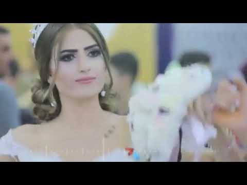 شيلة دبكه هزي بخصرك هزي 2022 افخم دبكه رقص بنات حماسيه نااارر طرب 2022