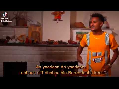 Sirba Leencoo Guddinaa Shorts Music Oromo New 2022 Sirba Leencoo Guddinaa Shorts Music Oromo New 2022
