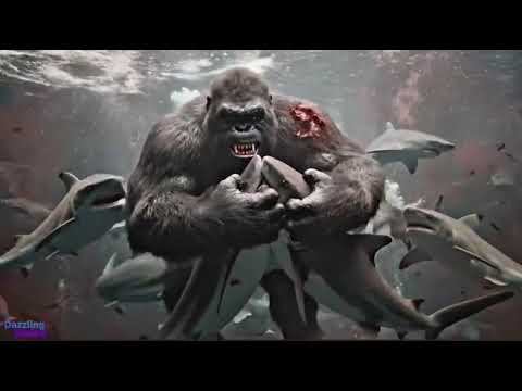 Muvi Papa Sokwe Dj Manyilezu 2025