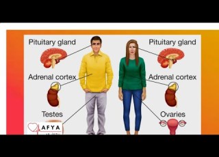 Changamoto Ya Uzazi Kwa Wanawake Na Wanaume