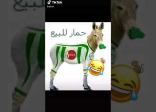  حمار للبيع شكون يشري