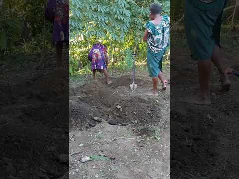 Planting For 2025 Village Developments Planting For 2025 Village Developments