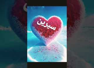  خلفيات لاسم سيرين حسب الطلب من الوردة البيضاء Shorts