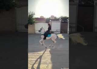 اصفهان اصلا اسب دنیایی برا خودش