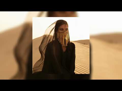 Busta Rhymes Sherine Sabri Aleel X I Know What You Want TikTok Remix