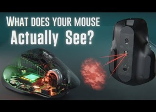  How Does A Mouse Know When You Move It How Does A Computer Mouse Work