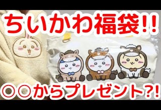 Chiikawa The 10 000 Yen Chiikawa Happy Bag Was Super Cute