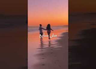 الشامي طب خدني الشامي مش كده يا قلبي كلمات حالات واتس Lovestatus لايك Lyrics