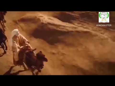 الشيخ الشعراوى ميعاد زوال إسرائيل