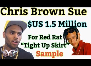  US 1 5 Million Lawsuit Filed Against Chris Brown For Red Rat Tight Up Skirt Sample