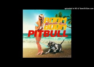 Pitbull Muévelo Loca Boom Boom AUDIO