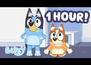 LIVE Bluey And Bingo Sunny Day Family Trip Summertime Games Bluey