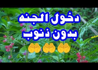 دخول الجنه بدون ذنوب