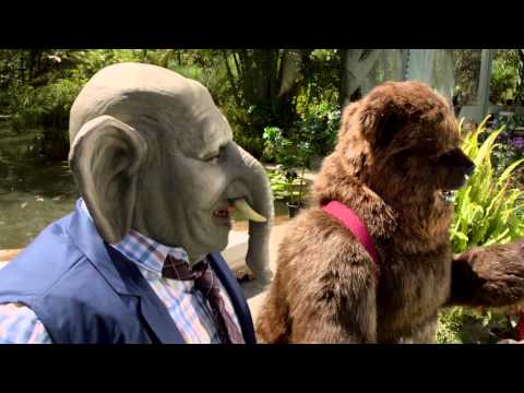 اعلان لايون الجديد 1