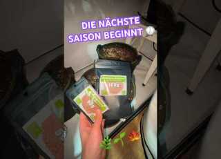  Starten Wir Direkt Rein