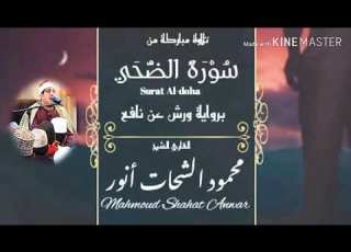  سورة الضحي القارئ محمود الشحات محمد أنور برواية ورش عن نافع حفلات جنوب إفريقيا