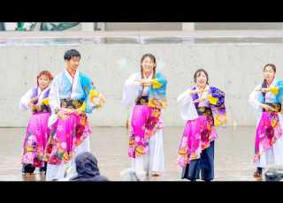  4K Momoyama Gakuin University Yosakoi Club Maki Sailing KOBE 2026 Main Stage Center