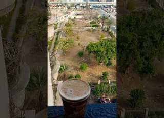 اصحي يا دنيا