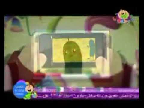 أنا الخيارة طيور الجنة You Confuse Might