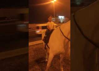  هاي يوسف راكب حيل