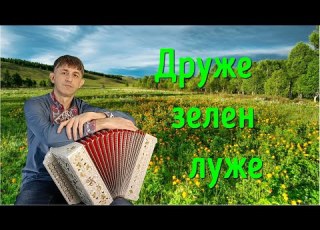  Друже зелен луже