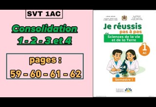 SVT 1AC Consolidation 1 2 3 4 Pages 59 60 61 62