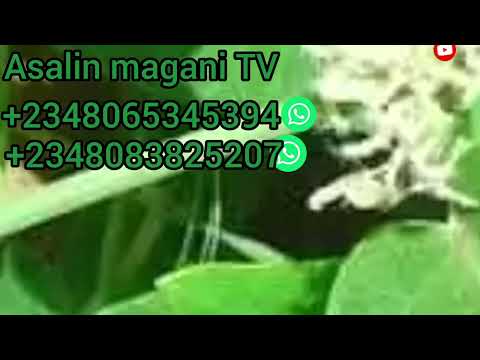 Nasan Kowa Zai Bukaci Wanan Sirrin Samun Kudi Cikin Kanka Nin Lokaci