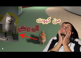 سبب لي رعب The Classrooms