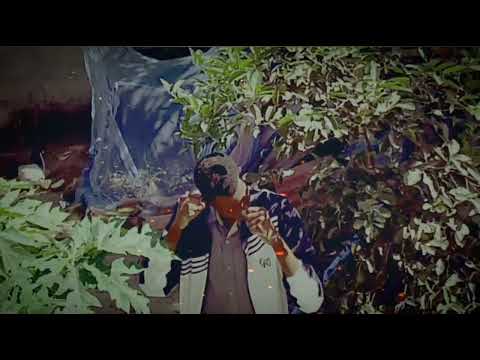 Collin Pascal MSHINDI WA MUNGU OFFICIAL VISUALIZER