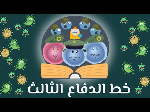 Human Immunity The Third Line Of Defense