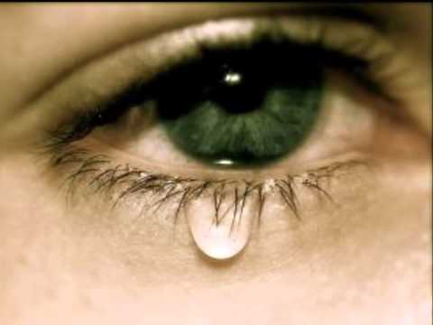 وليد التلاوي اسمع وارقص 3 يلعب بيا