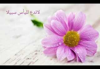 لا تدع لليأس سبيلا