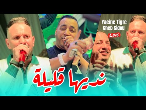 Yacine Tigre Ft Cheb Sidou نديها قليلة N3alamha L Amour Avec Okba Rega Live 2025