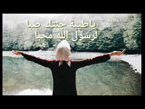 ياطيبة جئتك صبا حالة