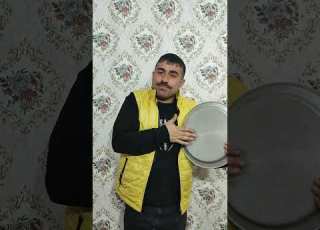  سحلية راقصة سحلية مضحك عزف على الطبل وزغ ابو بريص حردون سحلية مضحكة كوميدي