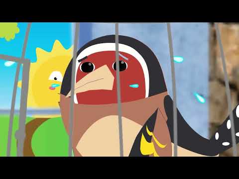 Chichou Chanson Kabyle Pour Enfant