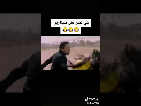 فضيحة الفيلم المغربي