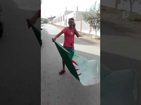 صاحبي مهبول البرواقي هههههههه