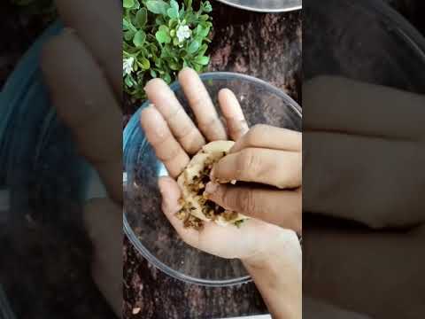 Damdar Aalu Kima Kima Aluu Ramadanrecipes Ramadanspecial Tastyrecipes Yummy Easyrecipe Like Damdar Aalu Kima Kima Aluu Ramadanrecipes Ramadanspecial Tastyrecipes Yummy Easyrecipe Like