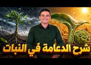  الدعامة في النبات شرح الدرس الأول الدعامة والحركة 2027 أحياء 3 ثانوي