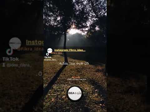 كل شيئ يبدأ بفكرة اقوال Shorts