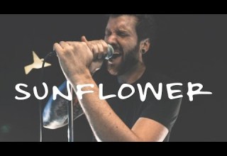 Post Malone Swae Lee Sunflower Spider Man Into The Spider Verse Cover By Flight Paths