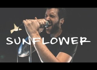  Post Malone Swae Lee Sunflower Spider Man Into The Spider Verse Cover By Flight Paths