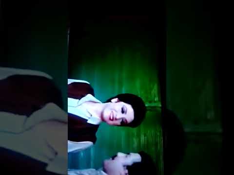 الهنشل علي القطار الفرنساوي في فيلم ليلة حب اخيرة نبيلة عبيد وحاتم ذو الفقار وكمال الشناوي 1987