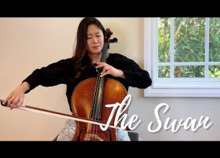 Saint Saëns The Swan Cello And Piano Jennifer Park