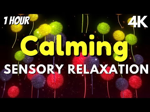 Best Sensory Music For Autism Sensory Visuals