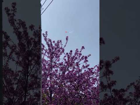 خليك بقلبي بيتك انا ماصدقت لقيتك حالات انستغرام اكسبلور لايك تصميمي ترند حالات واتس ذواقه