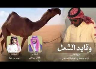 عامر بن ذعار وقايد الشعل حصريا 2026